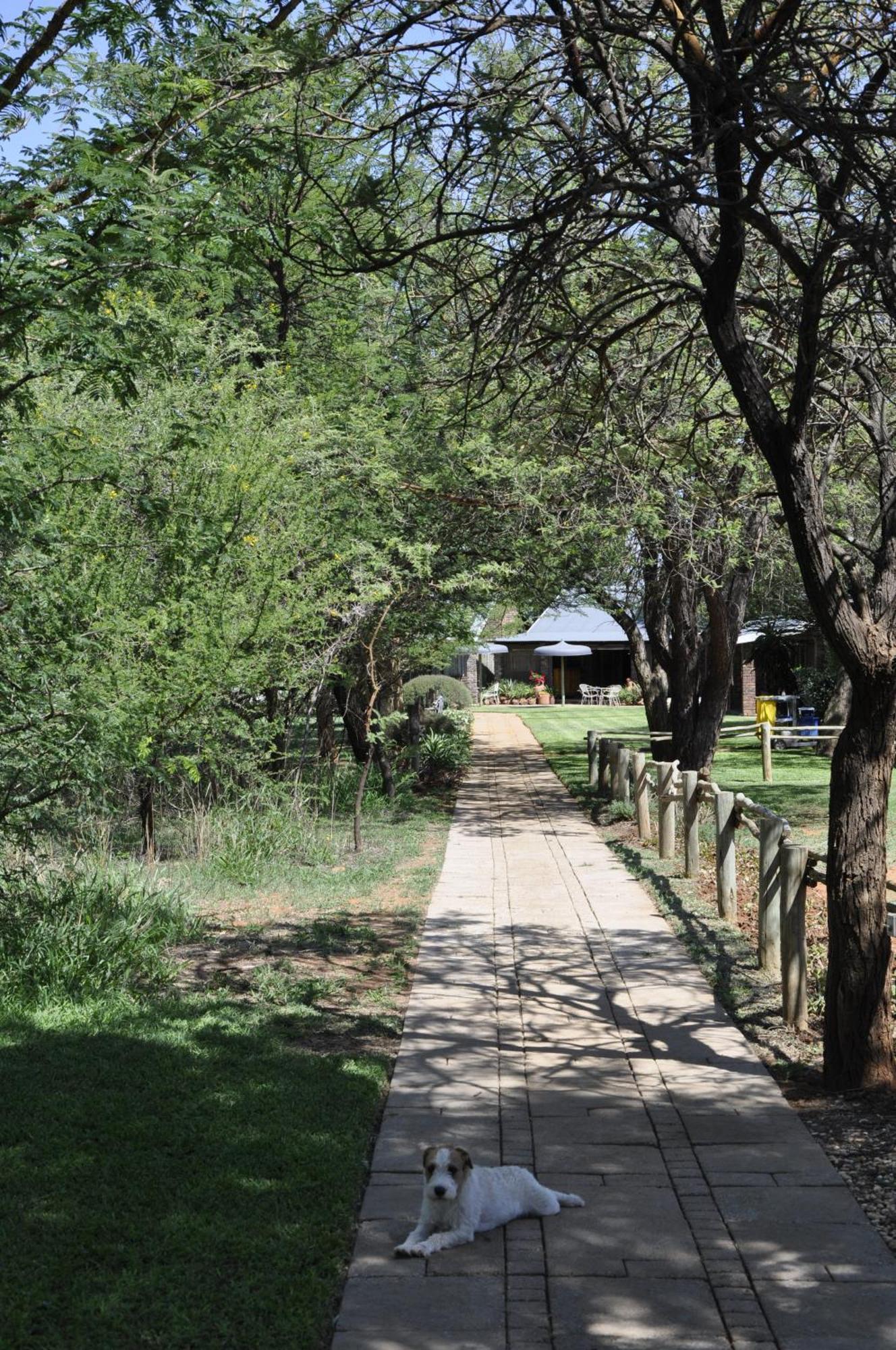 Grincourt B&B- With No Load Shedding Polokwane Eksteriør billede